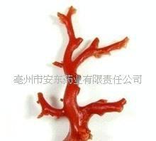 批發中藥材珊瑚/紅/珊瑚/珊瑚草支持驗貨(圖)