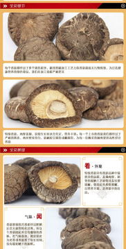 太極養(yǎng)生醫(yī)館壹品齋100g精品香菇 養(yǎng)生食補優(yōu)選，提升免疫力之選