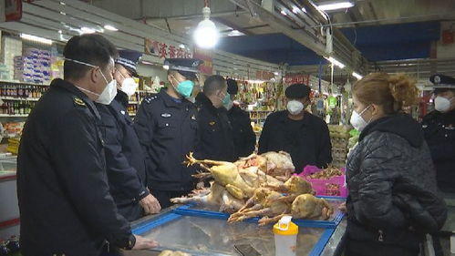 尼勒克縣開展食品藥品安全檢查，筑牢“舌尖上的安全”防線