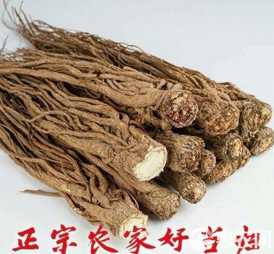 道地好當歸，源自岷縣農戶家